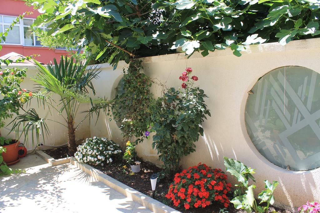Stela Guest House 茨雷沃 外观 照片
