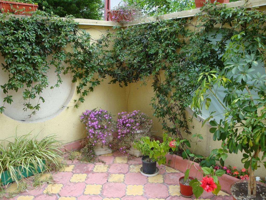Stela Guest House 茨雷沃 客房 照片