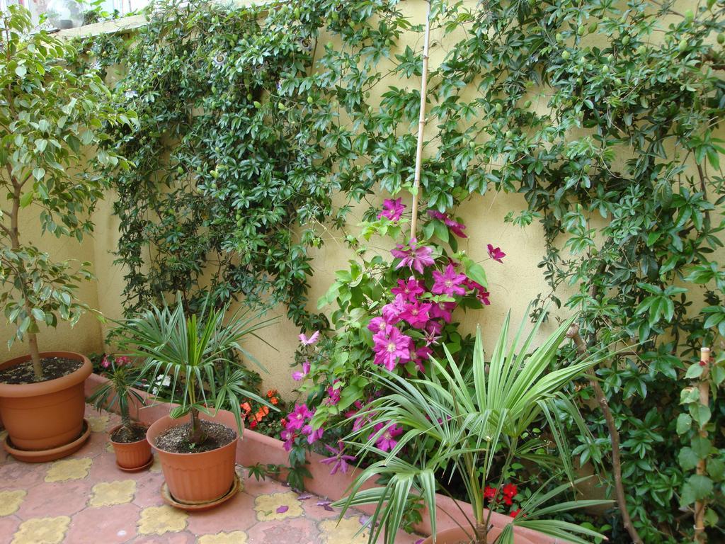 Stela Guest House 茨雷沃 外观 照片